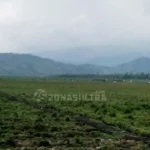 Segera Berakhir, Polemik Rawa Tinondo Tinggal Menunggu Regulasi Pemda Koltim Segera Berakhir, Polemik Rawa Tinondo Tinggal Menunggu Regulasi Pemda Koltim