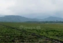 Segera Berakhir, Polemik Rawa Tinondo Tinggal Menunggu Regulasi Pemda Koltim Segera Berakhir, Polemik Rawa Tinondo Tinggal Menunggu Regulasi Pemda Koltim