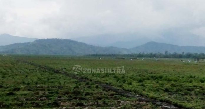 Segera Berakhir, Polemik Rawa Tinondo Tinggal Menunggu Regulasi Pemda Koltim