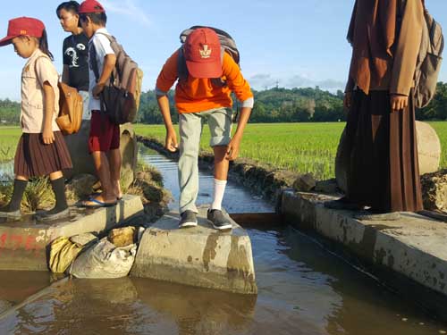 Irigasi sawah, tempat siswa siswi dari Dusun Larete Honda. 