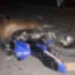 Tabrak 2 Ekor Sapi di Tengah Jalan, Pengendara Motor Asal Konut Tewas Tabrak 2 Ekor Sapi di tengah Jalan, Pengendara Motor Asal Konut Tewas