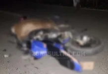 Tabrak 2 Ekor Sapi di Tengah Jalan, Pengendara Motor Asal Konut Tewas Tabrak 2 Ekor Sapi di tengah Jalan, Pengendara Motor Asal Konut Tewas