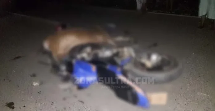 Tabrak 2 Ekor Sapi di tengah Jalan, Pengendara Motor Asal Konut Tewas