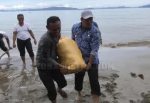 Warga Tanjung Laimeo Terancam Abrasi, Pemda Konut Buat Tanggul Darurat Warga Tanjung Laimeo Terancam Abrasi, Pemda Konut Buat Tanggul Darurat