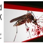 Kenali Ciri Nyamuk Demam Berdarah Hingga Fase Penyebaran Virusnya Kenali Ciri Nyamuk Demam Berdarah Hingga Fase Penyebaran Virusnya