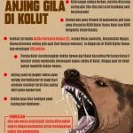INFOGRAFIS: Serangan Anjing Gila di Kolut SERANGAN ANJING GILA di Kolut