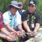 Sepanjang 2018, Pemda Konut Salurkan Bantuan Rp2,9 Miliar di Bidang Perikanan Sepanjang 2018, Pemda Konut Salurkan Bantuan Rp2,9 Miliar di Bidang Perikanan