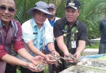 Sepanjang 2018, Pemda Konut Salurkan Bantuan Rp2,9 Miliar di Bidang Perikanan Sepanjang 2018, Pemda Konut Salurkan Bantuan Rp2,9 Miliar di Bidang Perikanan