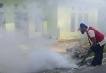 Penderita DBD di Muna Capai 41 Orang, Satu Meninggal Penderita DBD di Muna Capai 41 Orang, Satu Meninggal