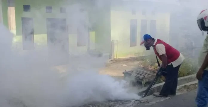 Penderita DBD di Muna Capai 41 Orang, Satu Meninggal