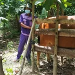 TNI Gencarkan Inseminasi Buatan Hewan Ternak di Konawe TNI Gencarkan Inseminasi Buatan Hewan Ternak di Konawe