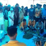 Pantau KKN Mahasiswa, Bupati Butur Turun di Dua Kecamatan Pantau KKN Mahasiswa, Bupati Butur Turun di Dua Kecamatan