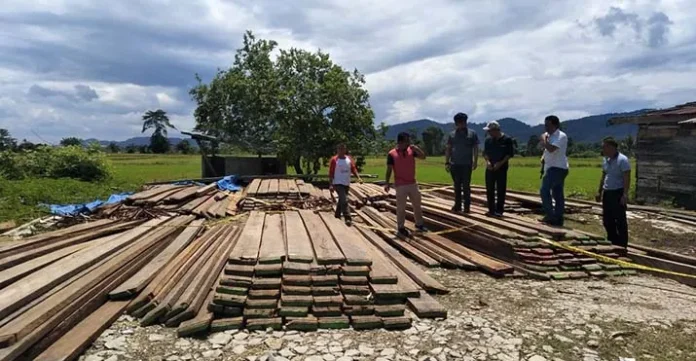 Amankan Ratusan Batang Kayu, Polres Konawe Periksa 3 Tersangka