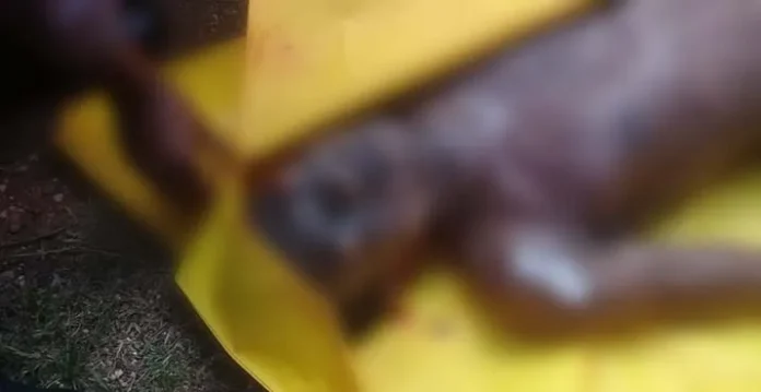 Warga Baubau Temukan Mayat Terapung di Kolong Jembatan