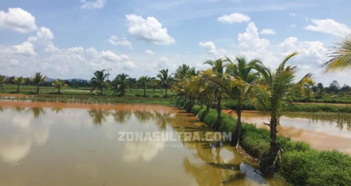 Memancing di Kolam Tikar Nila Mas, Seru Untuk Liburan