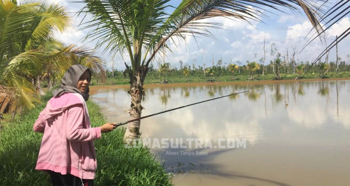 <strong>WISATA PEMANCINGAN</strong> - Wisata pemancingan Tikar Nila Mas yang ada di Desa Epeesi, Kecamatan Basalah, Kabupaten Konawe Selatan (Konsel). <strong>(Sri Rahayu/ZONASULTRA.COM)</strong> Memancing di Kolam Tikar Nila Mas, Seru Untuk Liburan