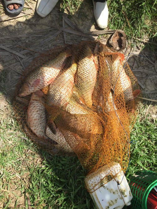 Memancing di Kolam Tikar Nila Mas, Seru Untuk Liburan