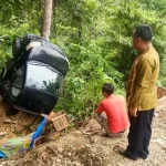Mobil Muat Langsat 1,8 Ton Jatuh ke Jurang di Kolut Mobil Muat Langsat 1,8 Ton Jatuh ke Jurang di Kolut