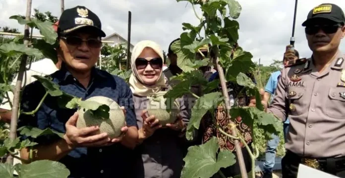 Tingkatkan Ekonomi Kerakyatan, Bupati Koltim Canangkan Penanaman Melon