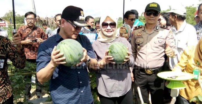 Bupati Koltim Ajak Masyarakat Memilih Sesuai Hati Nurani