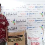 Serapan Pupuk Urea Bersubsidi di Sultra Capai 98,94 Persen Manager Pemasaran PT Pupuk Kaltim Cabang Kendari Suyono