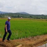 Sawah Kekeringan, Pemda Konut Turunkan Pompa Air Sawah Kekeringan, Pemda Konut Turunkan Pompa Air