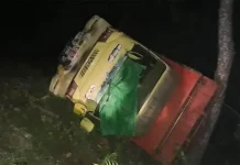 Truk Pengangkut Bibit Kakao Terguling di Kolut Truk Pengangkut Bibit Kakao Terguling di Kolut