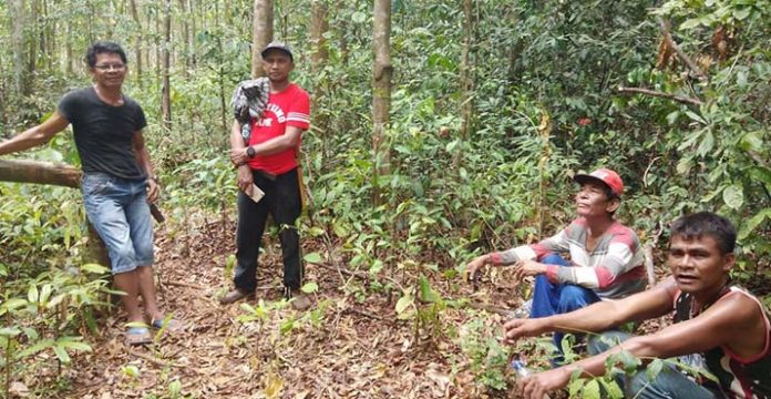 Sukseskan Program Mai te Wuna, Desa Matombura Genjot Wisata Agro