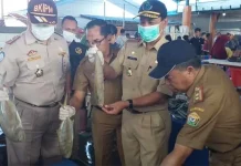 Lima Jenis Ikan di TPI Kendari Diuji, Hasilnya Negatif Formalin Lima Jenis Ikan di TPI Kendari Diuji, Hasilnya Negatif Formalin