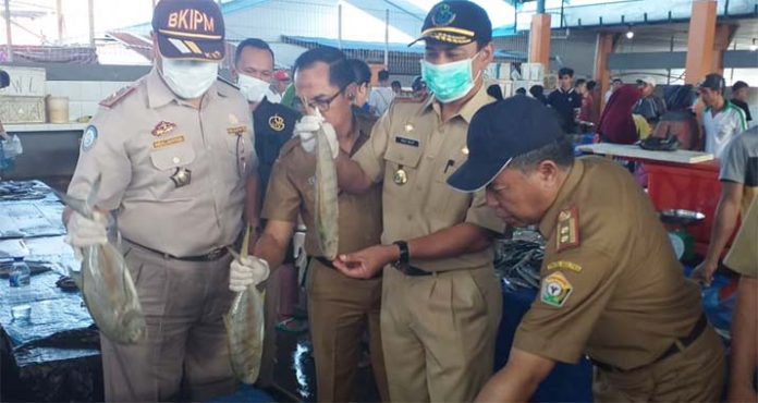 Lima Jenis Ikan di TPI Kendari Diuji, Hasilnya Negatif Formalin