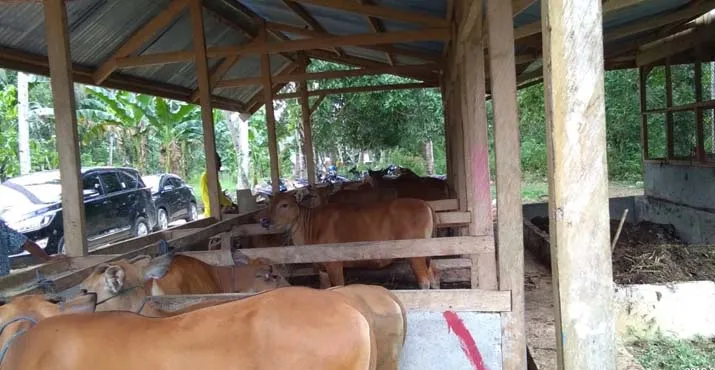 Pemkab Butur dan BI Sultra Saling Menguatkan Kembangkan Pertanian Organik