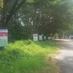 Bawaslu Kolut Segera Tertibkan APK Capres yang Dipasang di Pohon Bawaslu Kolut Segera Tertibkan APK Capres yang Dipasang di Pohon