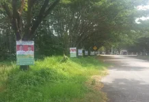 Bawaslu Kolut Segera Tertibkan APK Capres yang Dipasang di Pohon Bawaslu Kolut Segera Tertibkan APK Capres yang Dipasang di Pohon