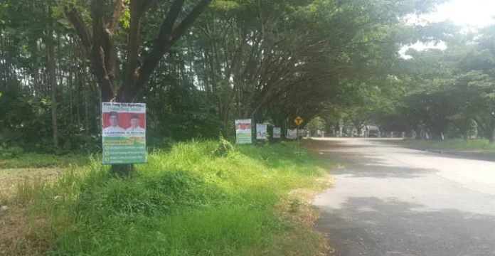 Bawaslu Kolut Segera Tertibkan APK Capres yang Dipasang di Pohon