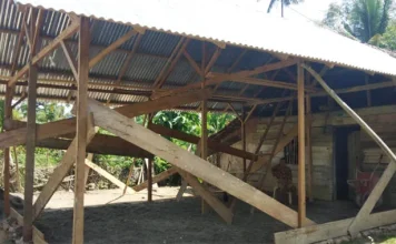 Bantu Nenek Epong, Seorang Polisi di Konawe Sisihkan Gaji dan Remunerasi Bantu Nenek Epong, Seorang Polisi di Konawe Sisihkan Gaji dan Remunerasi