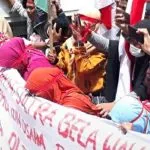 image2_crop_715x380-800×425