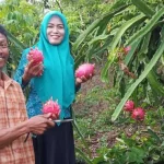 Langkoroni Muna Dicanangkan Jadi Kampung Buah dan Santri Langkoroni Muna Dicanangkan Jadi Kampung Buah dan Santri