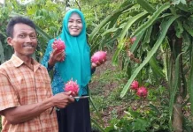 Langkoroni Muna Dicanangkan Jadi Kampung Buah dan Santri Langkoroni Muna Dicanangkan Jadi Kampung Buah dan Santri