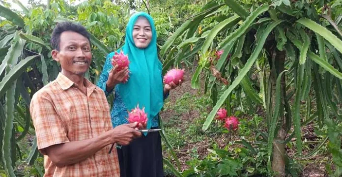 Langkoroni Muna Dicanangkan Jadi Kampung Buah dan Santri