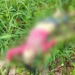 Temuan Jasad Wanita Setengah Telanjang Gegerkan Warga Kolut Temuan Jasad Wanita Setengah Telanjang Gegerkan Warga Kolut