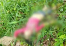 Temuan Jasad Wanita Setengah Telanjang Gegerkan Warga Kolut Temuan Jasad Wanita Setengah Telanjang Gegerkan Warga Kolut