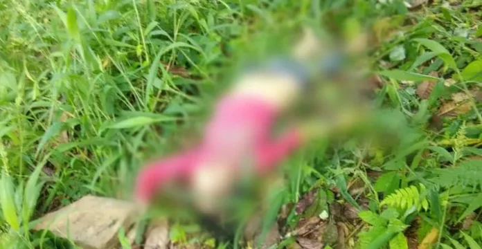 mayat_wanita_telnjang Temuan Jasad Wanita Setengah Telanjang Gegerkan Warga Kolut