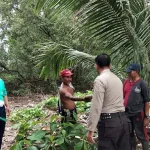 Dikabarkan Hilang, Nelayan Kolut Ditemukan Selamat Setelah 15 Jam Terapung di Laut Dikabarkan Hilang, Nelayan Kolut Ditemukan Selamat Setelah 15 Jam Terapung di Laut