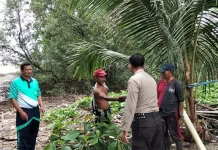 Dikabarkan Hilang, Nelayan Kolut Ditemukan Selamat Setelah 15 Jam Terapung di Laut Dikabarkan Hilang, Nelayan Kolut Ditemukan Selamat Setelah 15 Jam Terapung di Laut