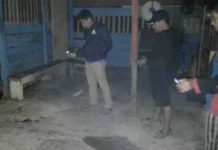 Sama-Sama Mabuk, Honorer Pol PP Koltim Ditikam Pamannya Sendiri Honorer koltim