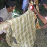 Jasad Seorang IRT Warga Kolut Ditemukan di Kebun Kakao Jasad Seorang IRT Warga Kolut Ditemukan di Kebun Kakao