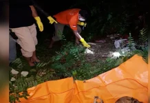 Tengkorak Manusia Ditemukan di Hutan Lamomea Konsel Tengkorak Manusia Ditemukan di Hutan Lamomea Konsel