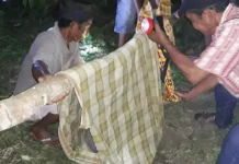 Jasad Seorang IRT Warga Kolut Ditemukan di Kebun Kakao Jasad Seorang IRT Warga Kolut Ditemukan di Kebun Kakao