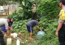 Razia Miras, Polsek Lambuya Temukan Pongasi Razia Miras, Polsek Lambuya Temukan Pongasi