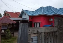 Diduga Jadi Relawan Caleg, PNS Wakatobi Dilapor ke Bawaslu Diduga Jadi Relawan Caleg, PNS Wakatobi Dilapor ke Bawaslu